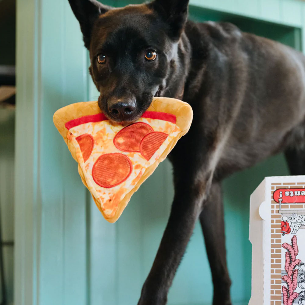 Puppy-roni Pizza Dog Toy