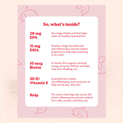 Skin and Coat Supplements