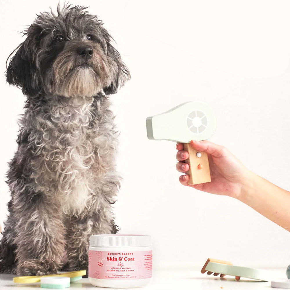 Skin and Coat Supplements