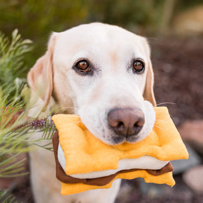 S'mores Dog Toy
