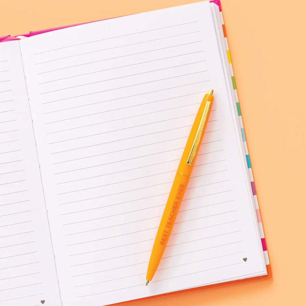 Rainbow Stripe Teacher Notebook