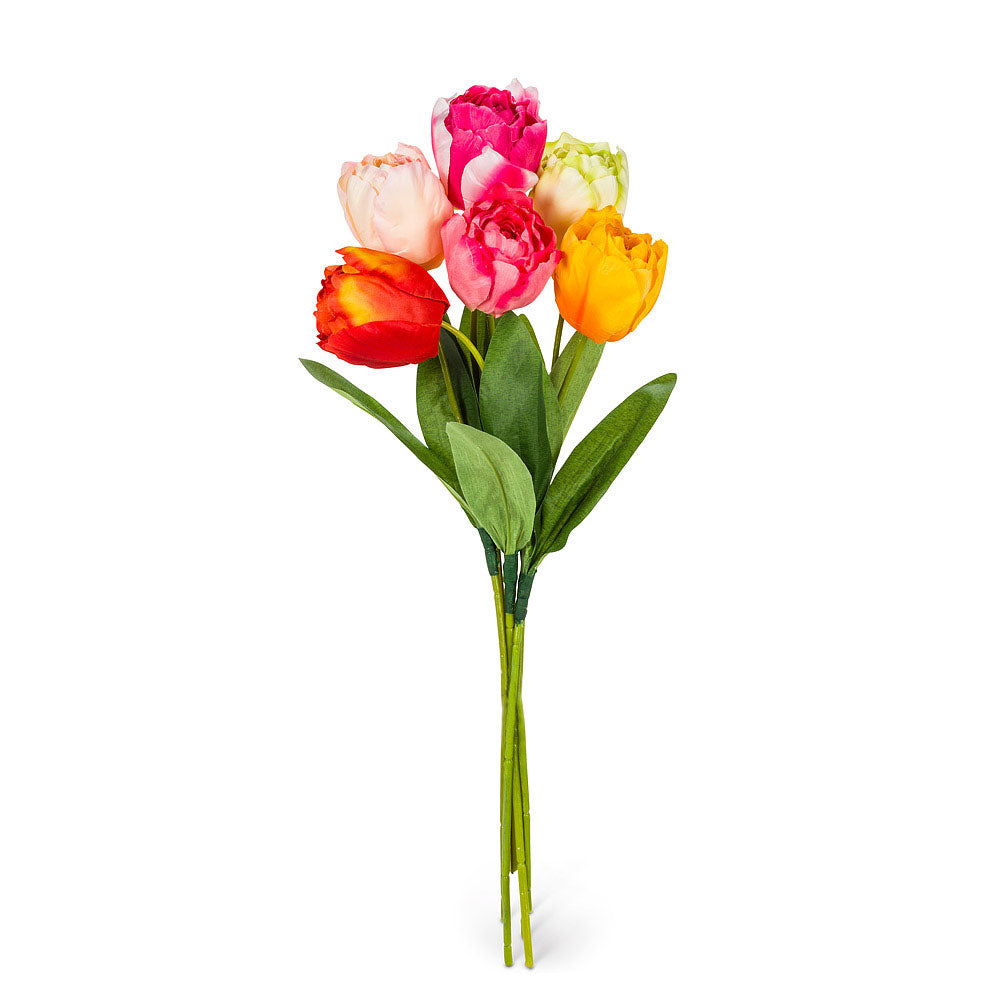 Large SIngle Tulip Stems