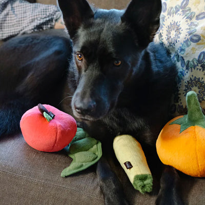 Garden Fresh Dog Toys