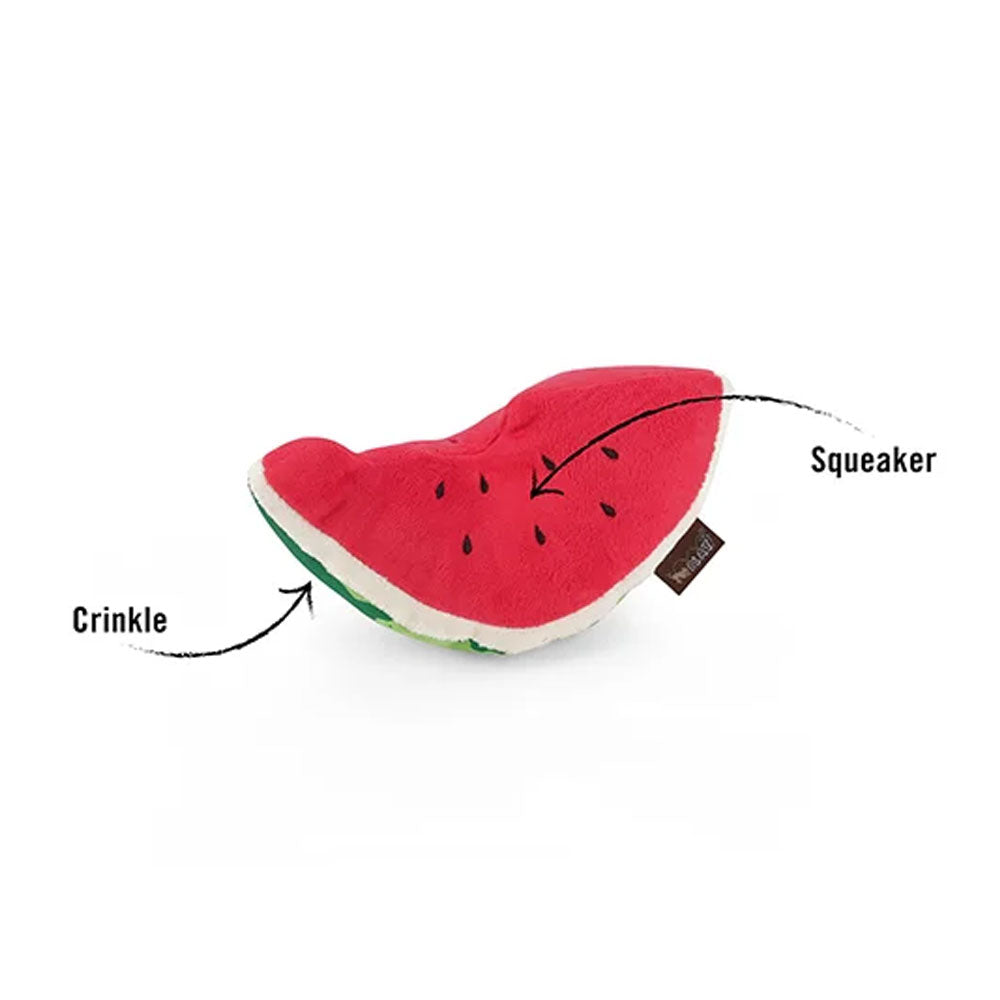Watermelon Dog Toy